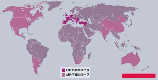 威尼斯wns8885556酿酒葡萄知几(图1)