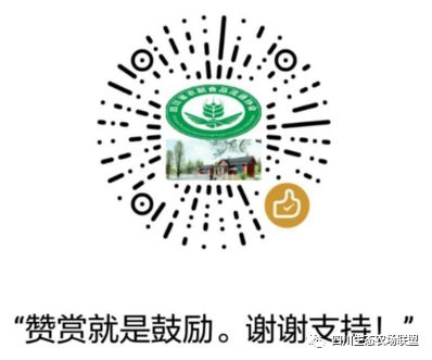 威尼斯wns8885556官方入口小本创业：乡村小本时髦的赢利时机相宜年青人干(图1)