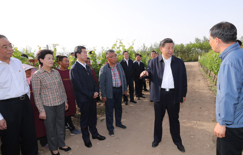 885566威尼斯央视网评：葡萄酒财产大有远景(图1)